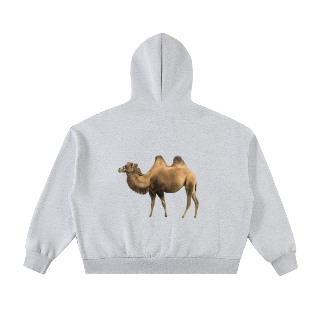 LW 123 Fleeced Hoodie