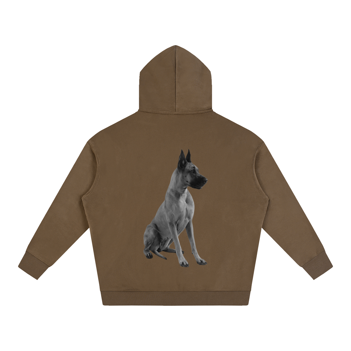 LW 123 Oversize Fleeced Hoodie