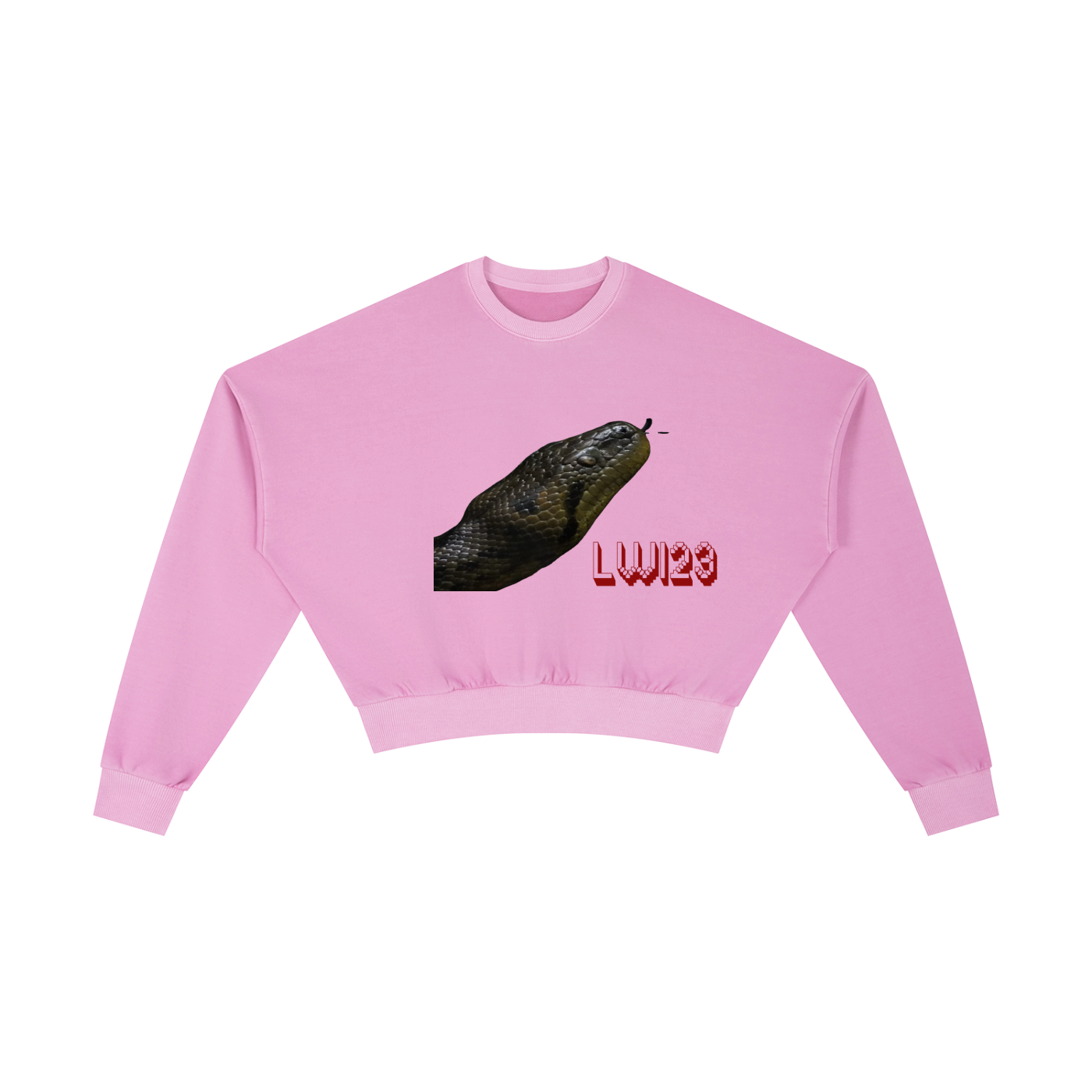 Vintage Washed Cropped Sweatshirt