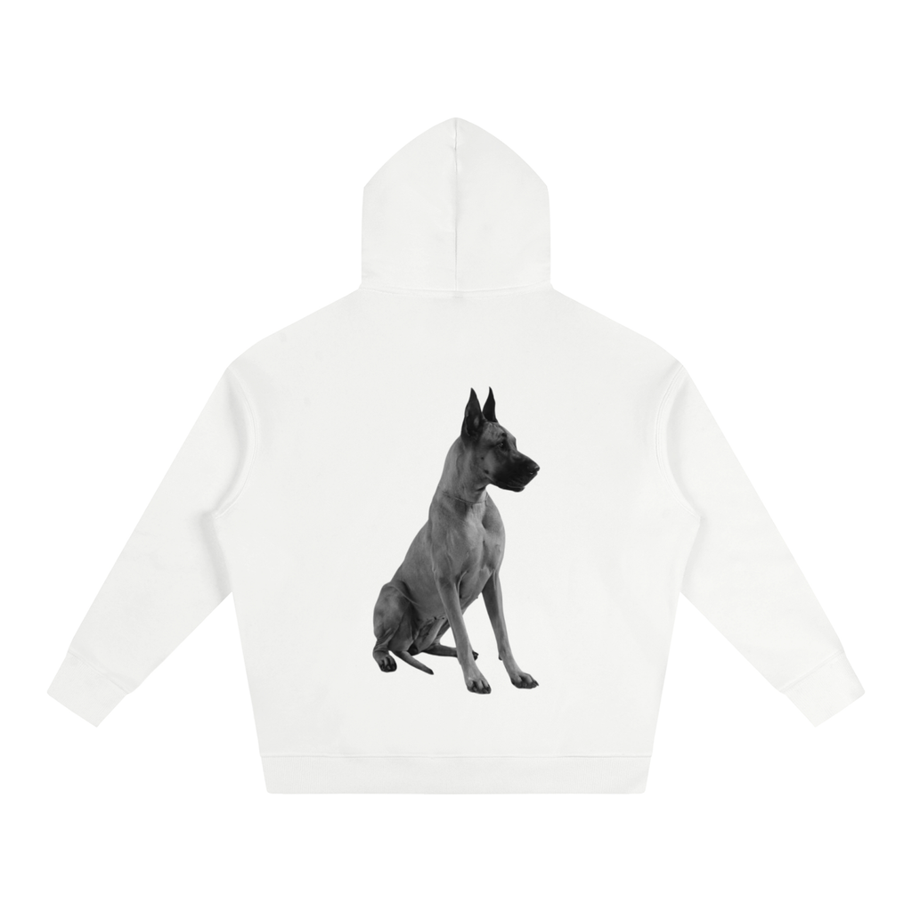LW 123 Oversize Fleeced Hoodie