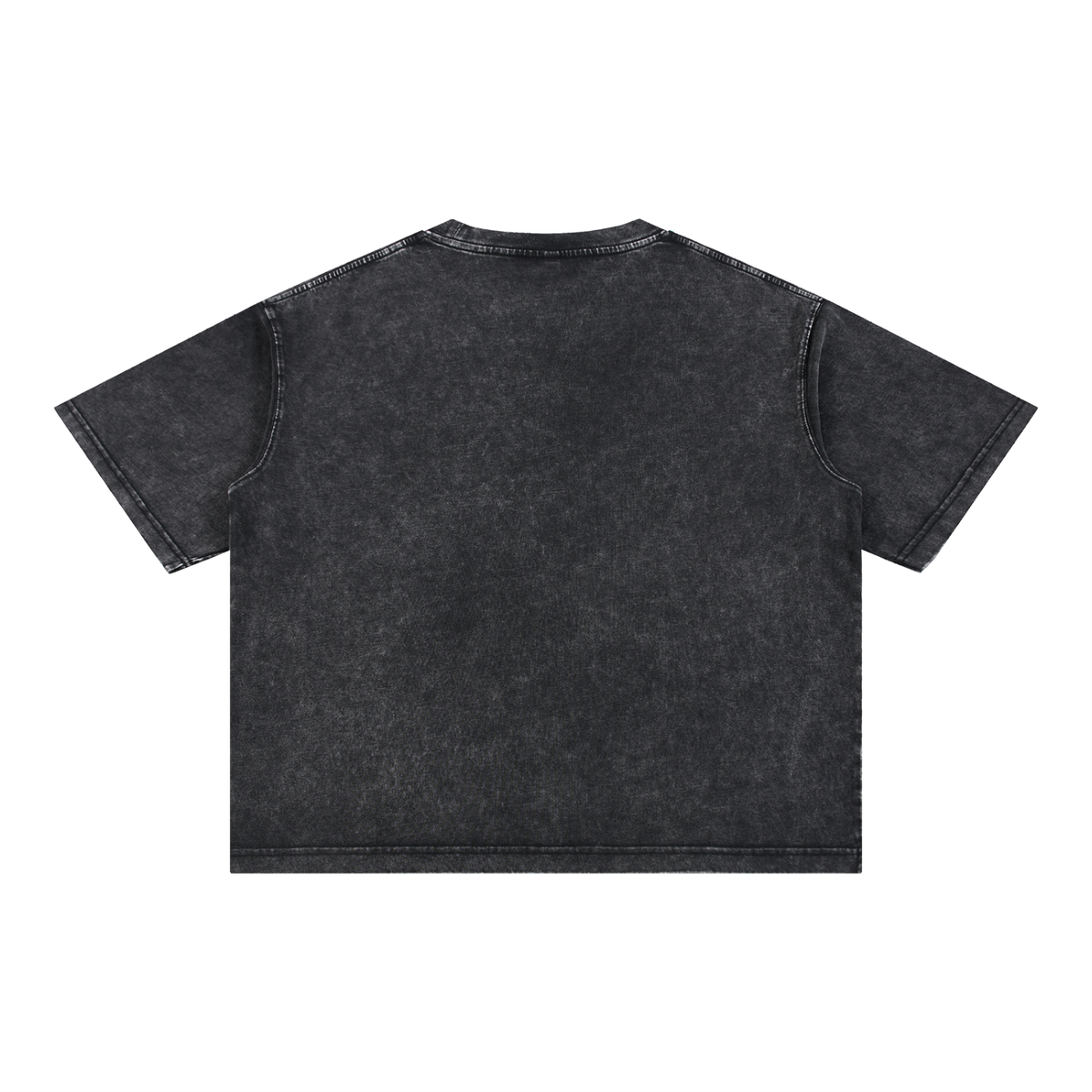 LW 123 Cotton T-Shirt