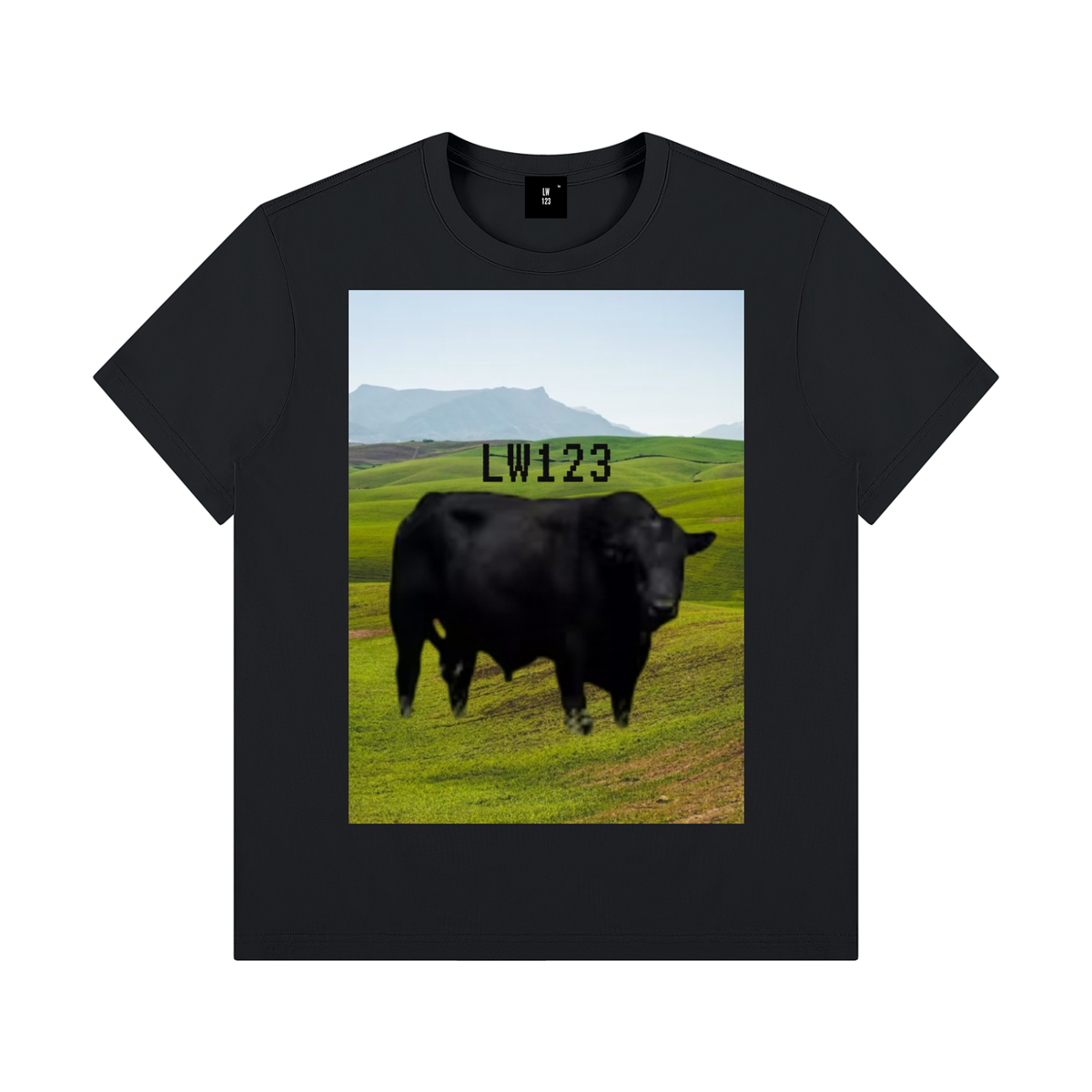 LW 123  Crewneck T-Shirt