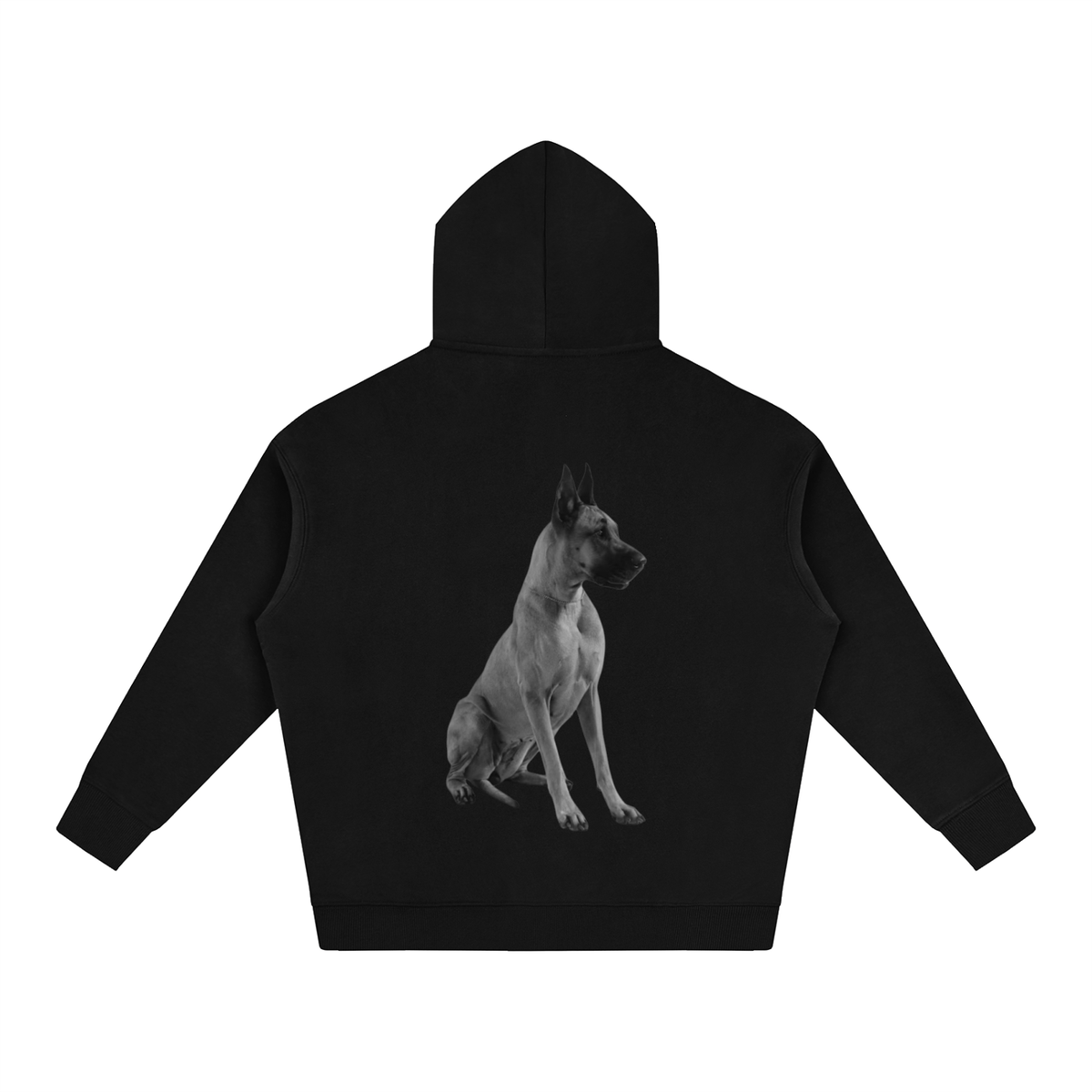 LW 123 Oversize Fleeced Hoodie