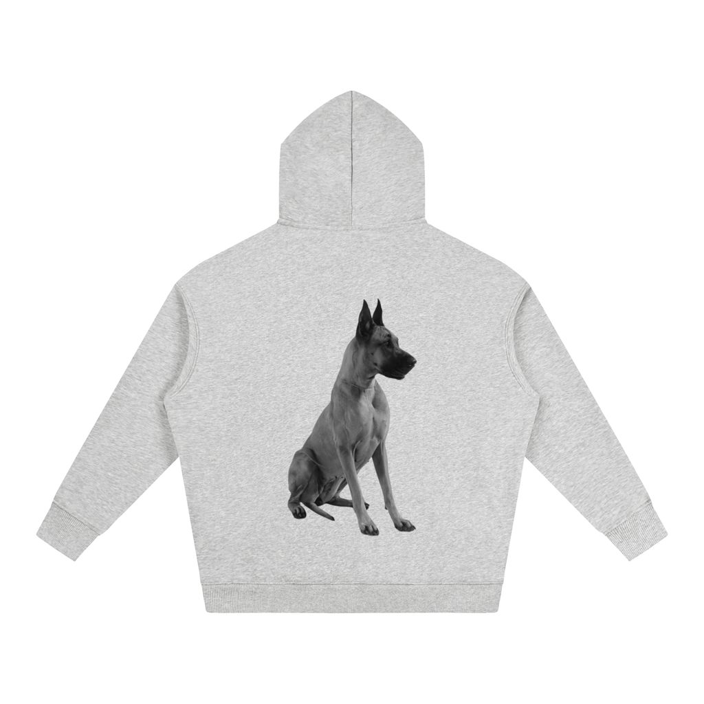 LW 123 Oversize Fleeced Hoodie