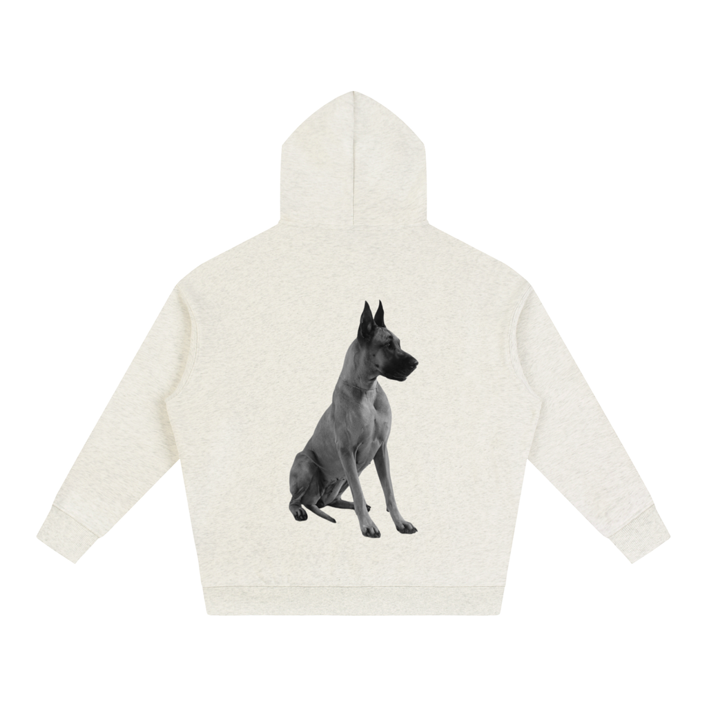 LW 123 Oversize Fleeced Hoodie