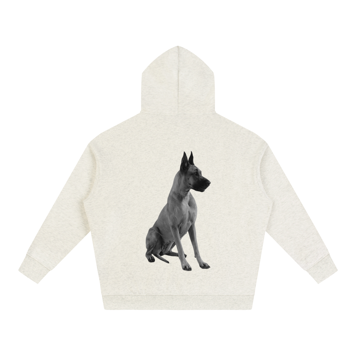 LW 123 Oversize Fleeced Hoodie