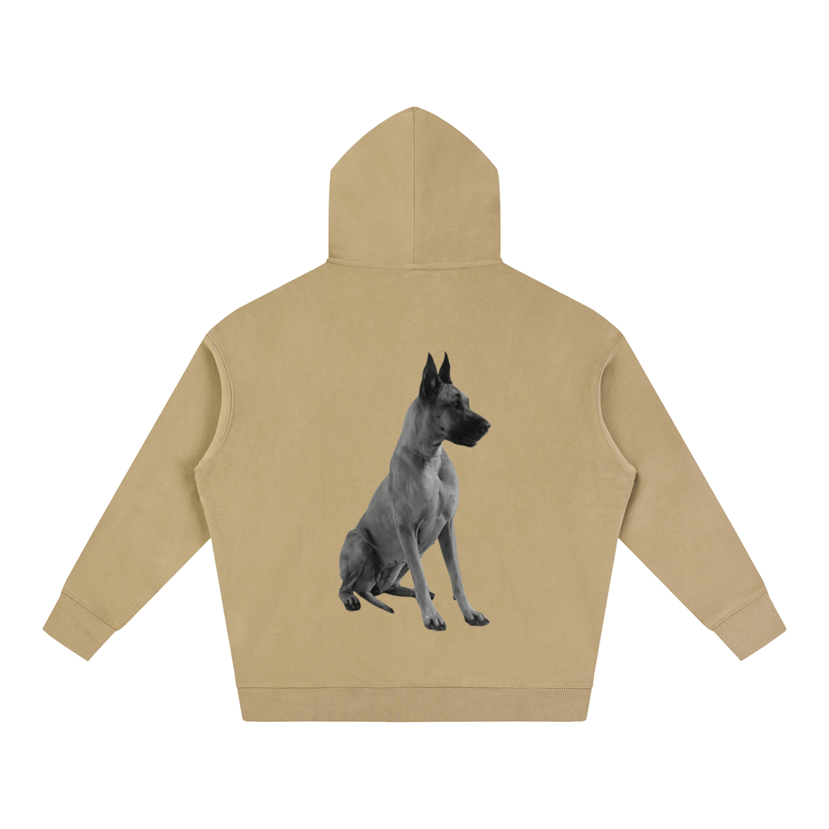 LW 123 Oversize Fleeced Hoodie