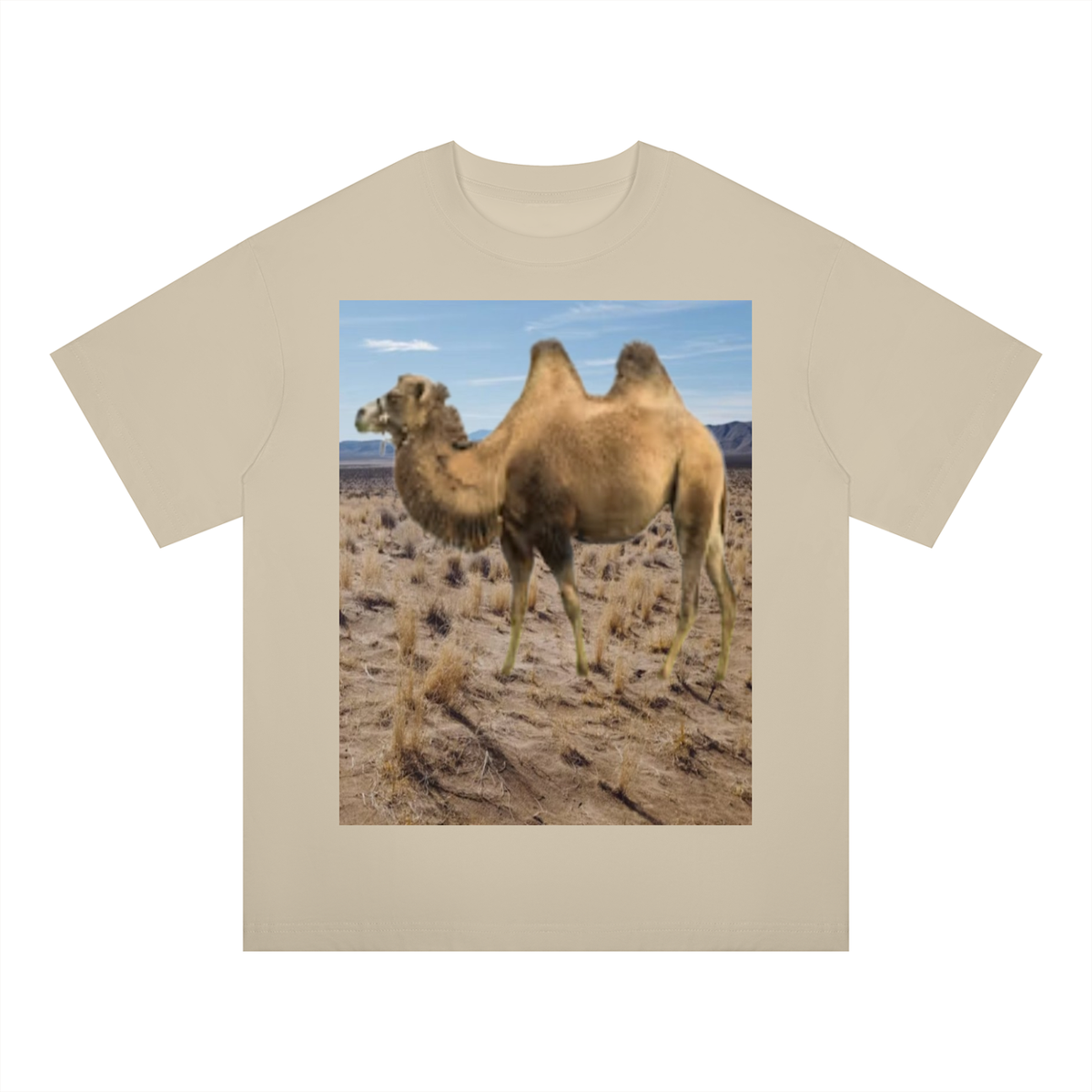 LW 123 Drop Shoulder T-Shirt