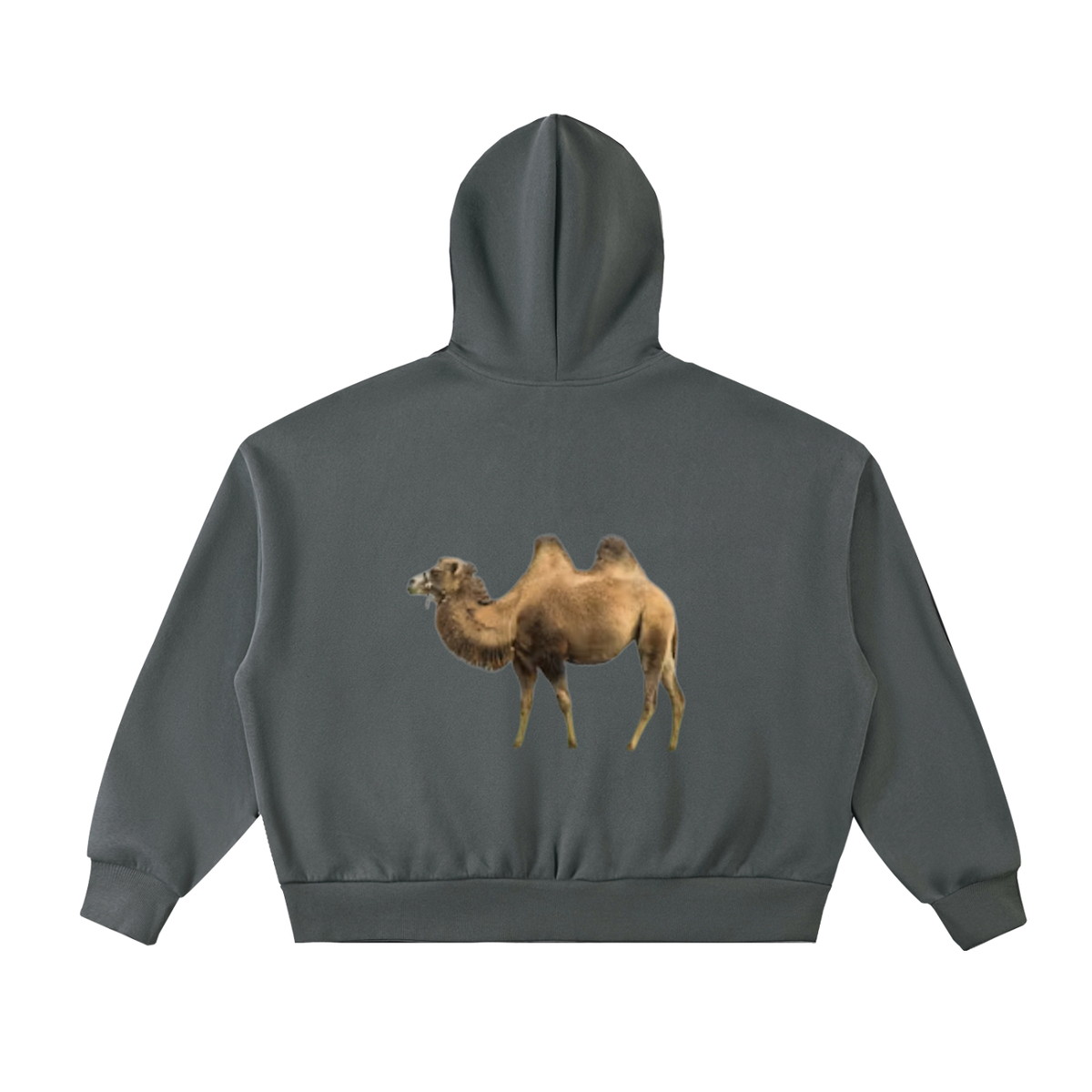 LW 123 Fleeced Hoodie