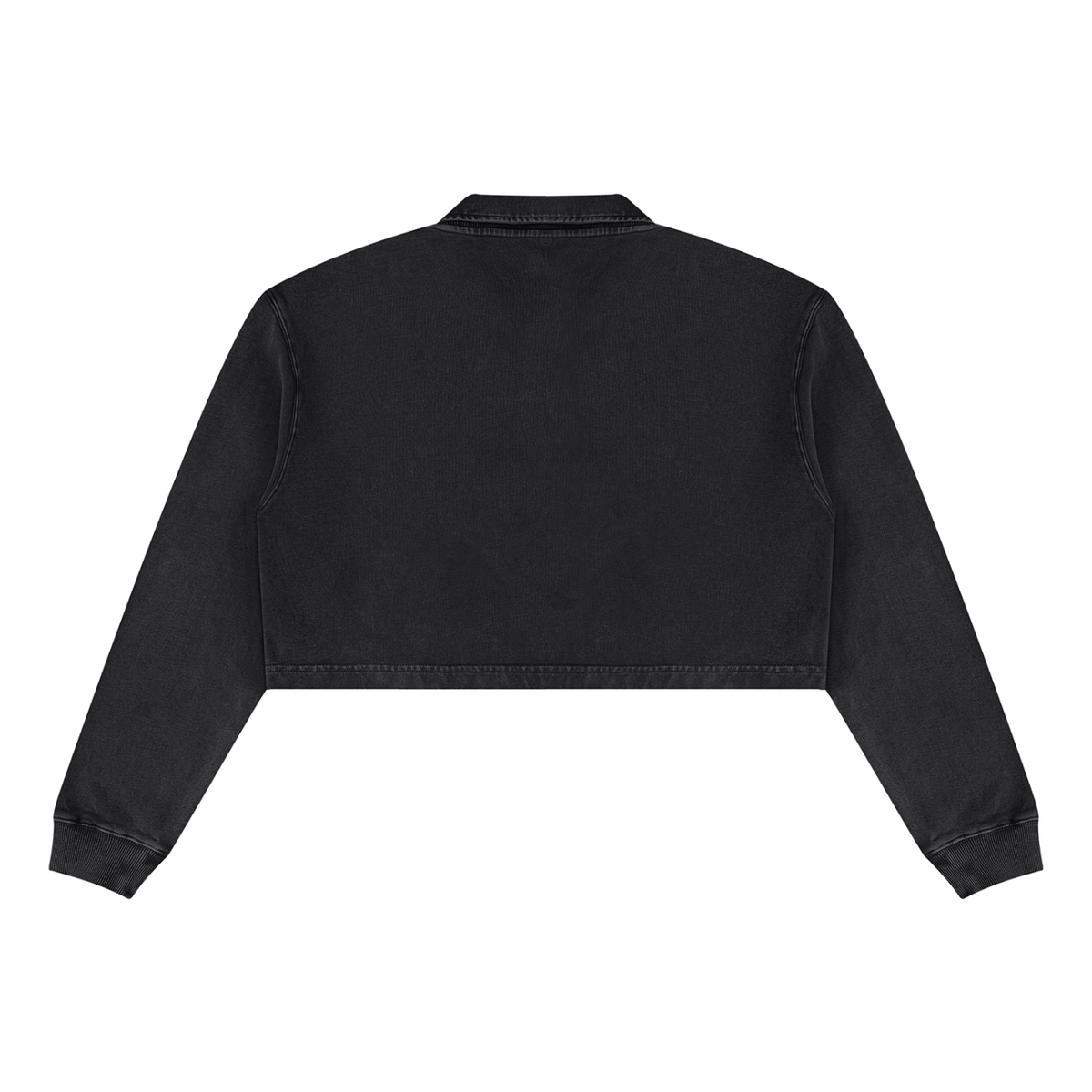 LW 123  Vintage Crop Sweatshirt