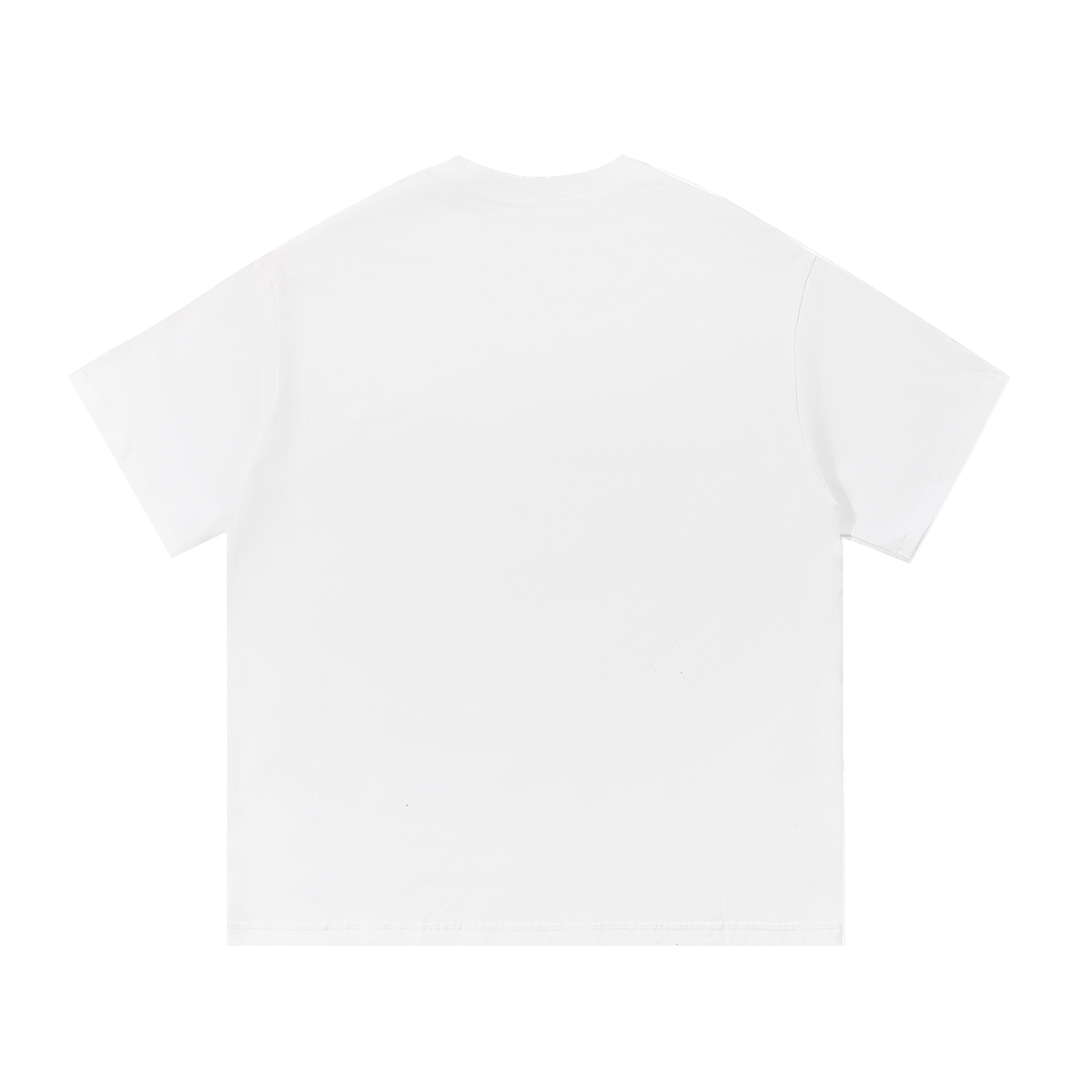 LW 123  Cotton T-Shirt