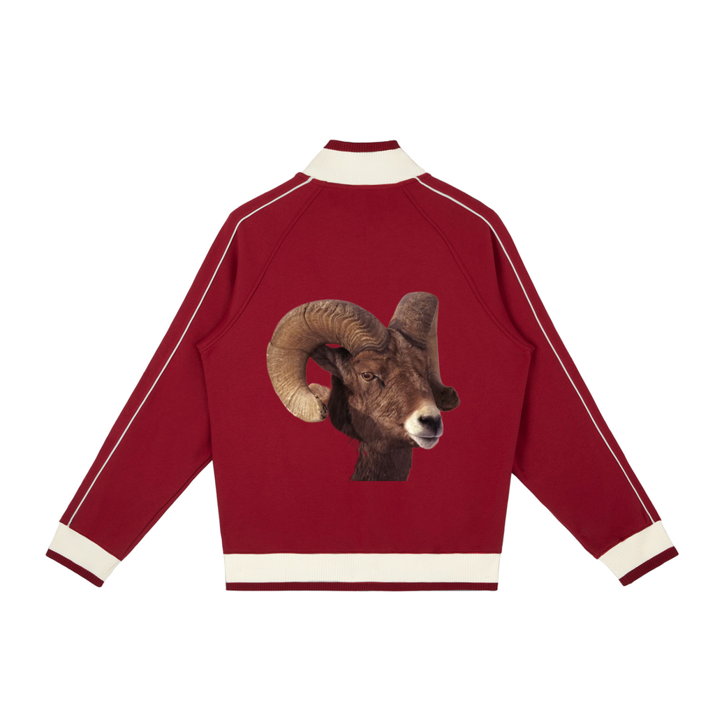Color Block Raglan Sleeve Zip Track Jacket