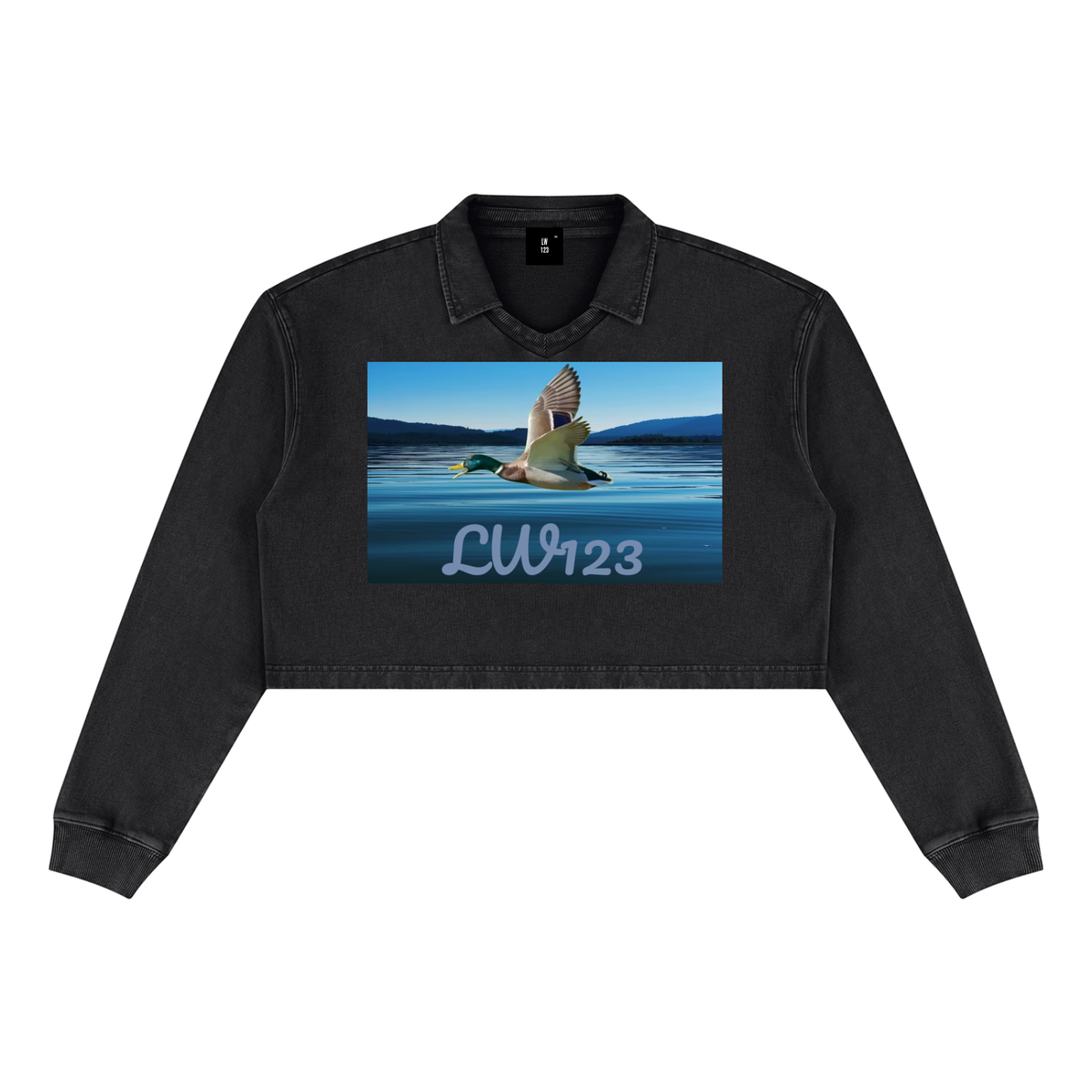LW 123  Vintage Crop Sweatshirt