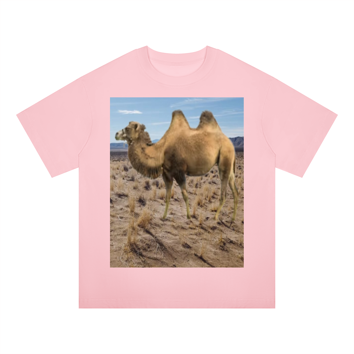 LW 123 Drop Shoulder T-Shirt