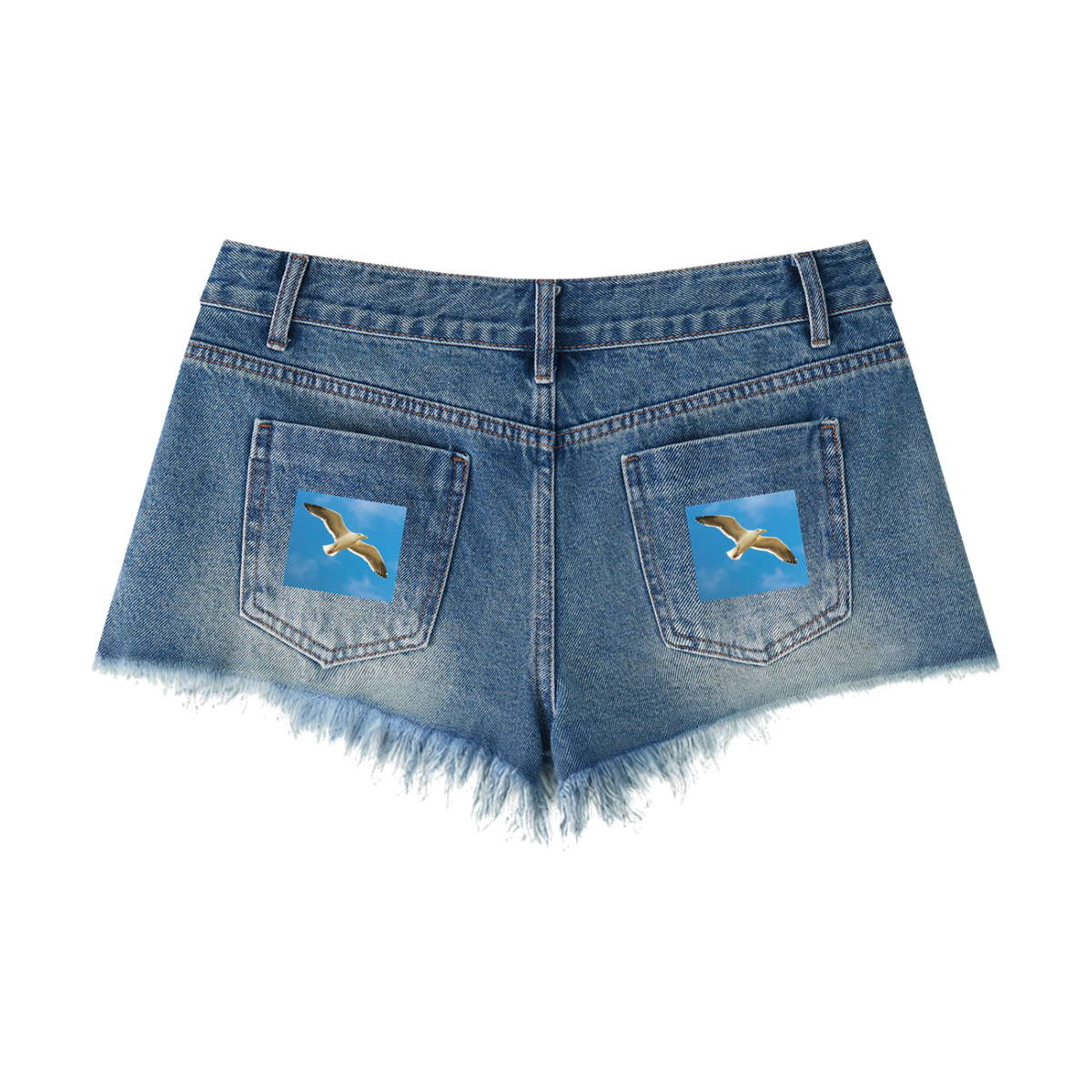LW 123 Raw Hem Denim Shorts