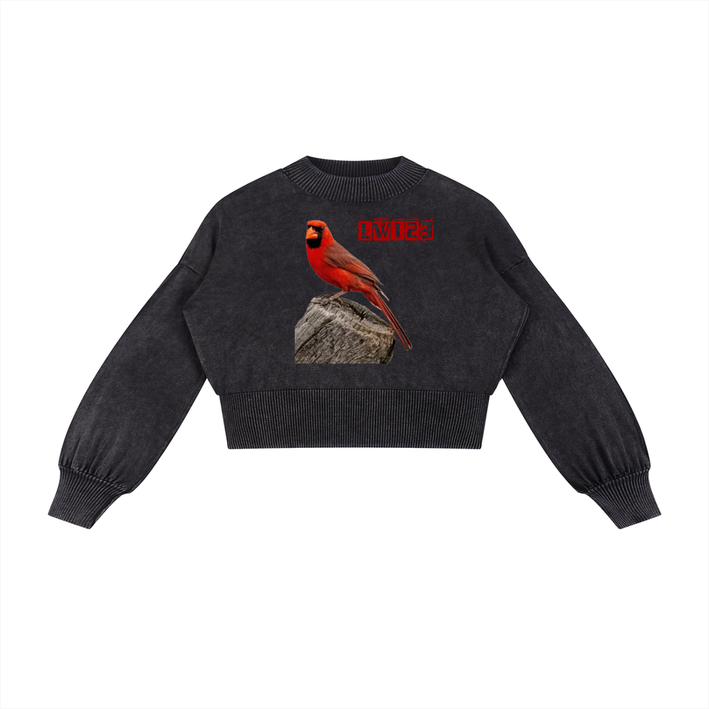 Mineral Wash Balloon Sleeve Cropped Sweater