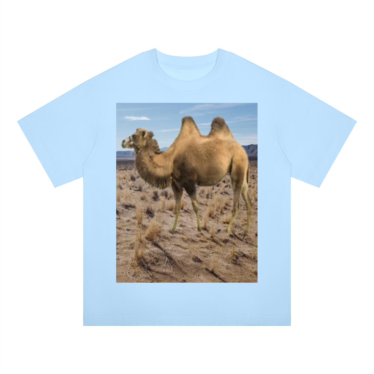 LW 123 Drop Shoulder T-Shirt