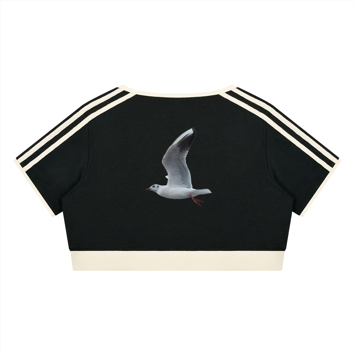 LW 123  Crop T-Shirt