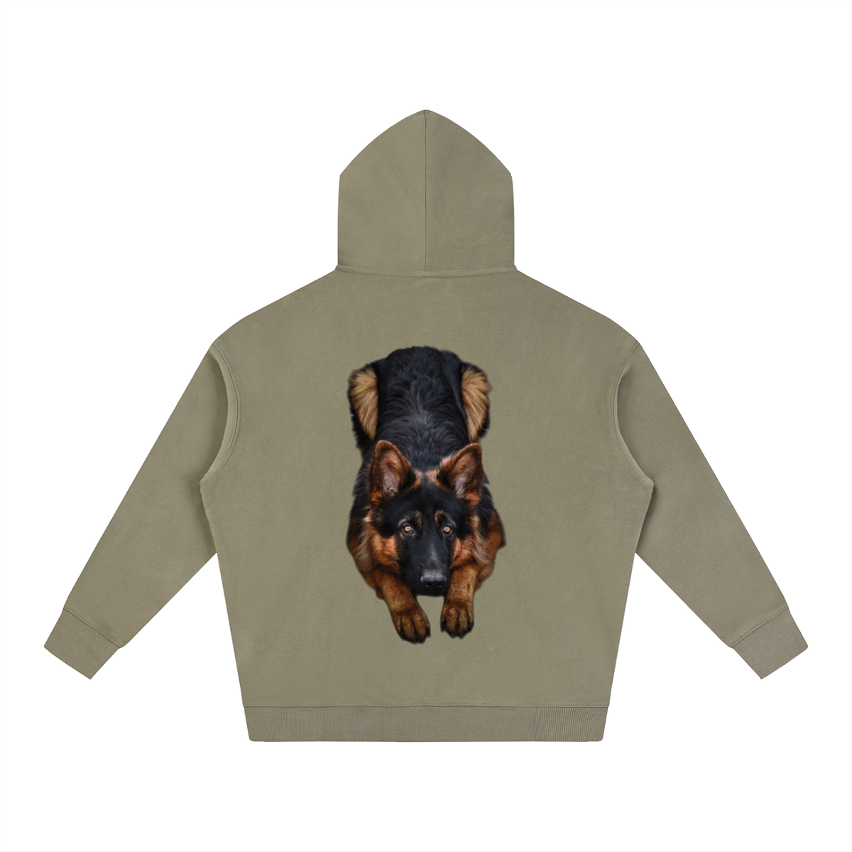 LW 123  Fleeced Hoodie