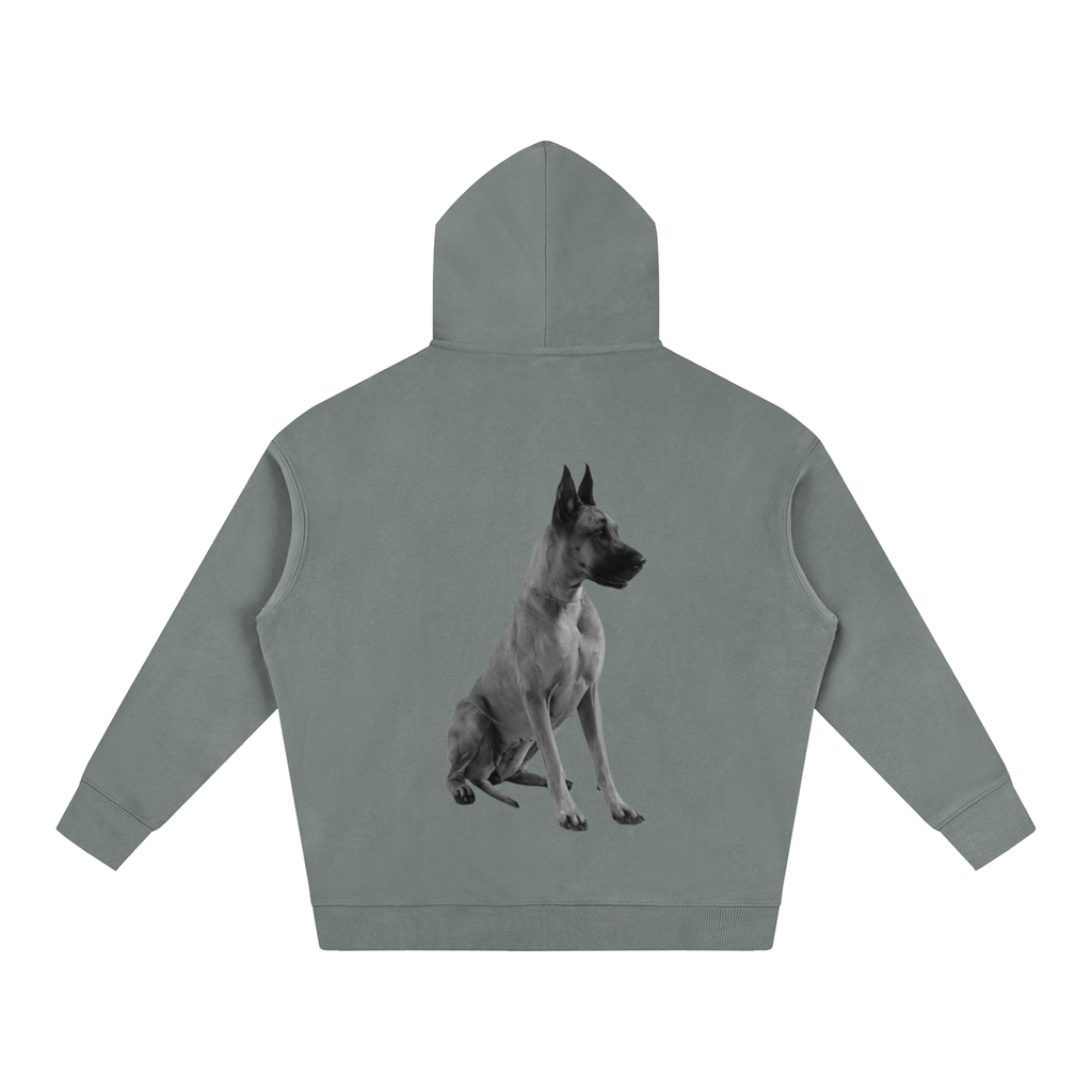 LW 123 Oversize Fleeced Hoodie
