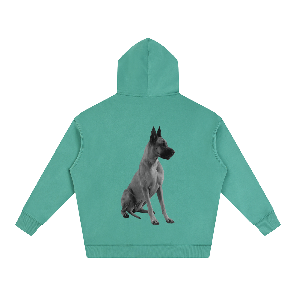 LW 123 Oversize Fleeced Hoodie