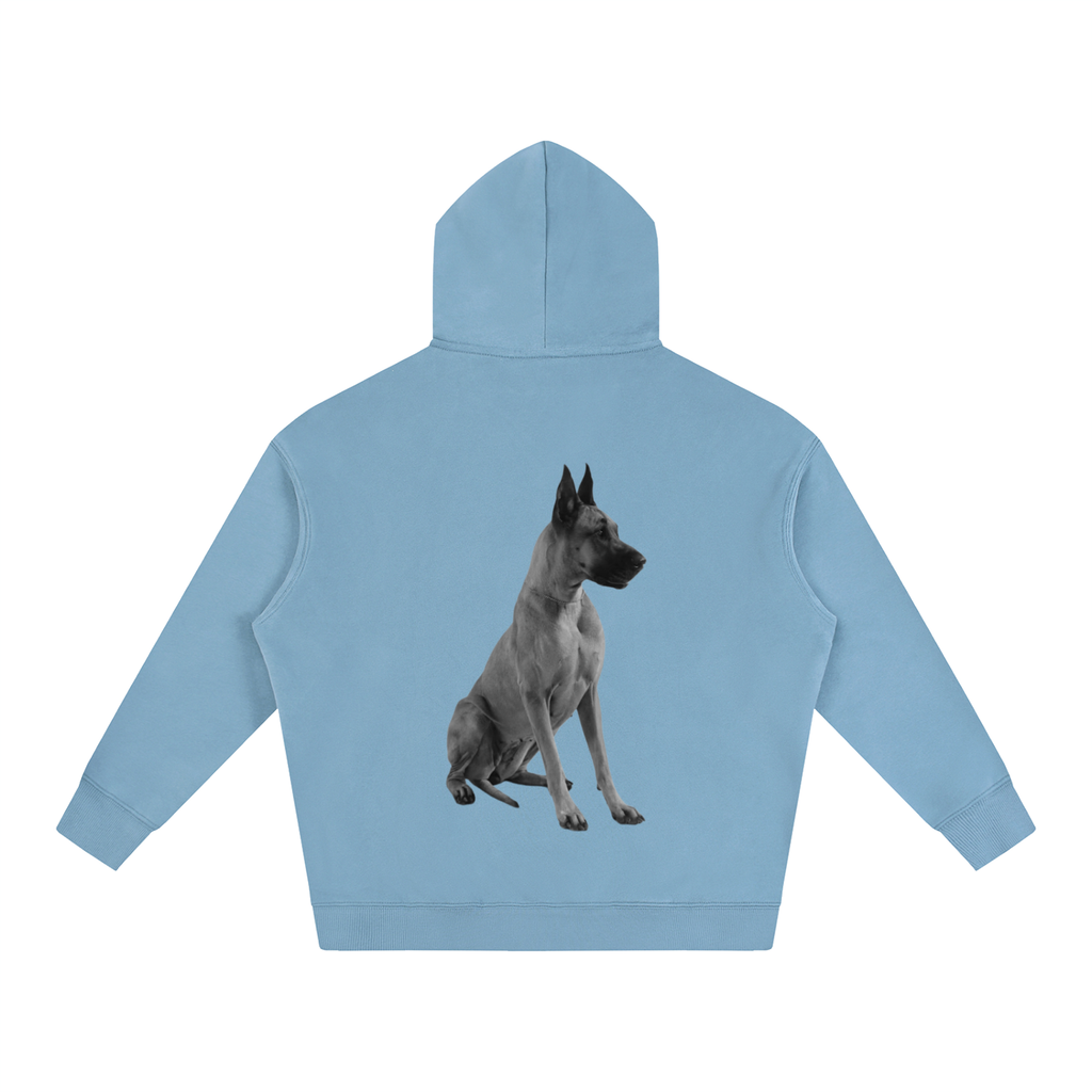 LW 123 Oversize Fleeced Hoodie