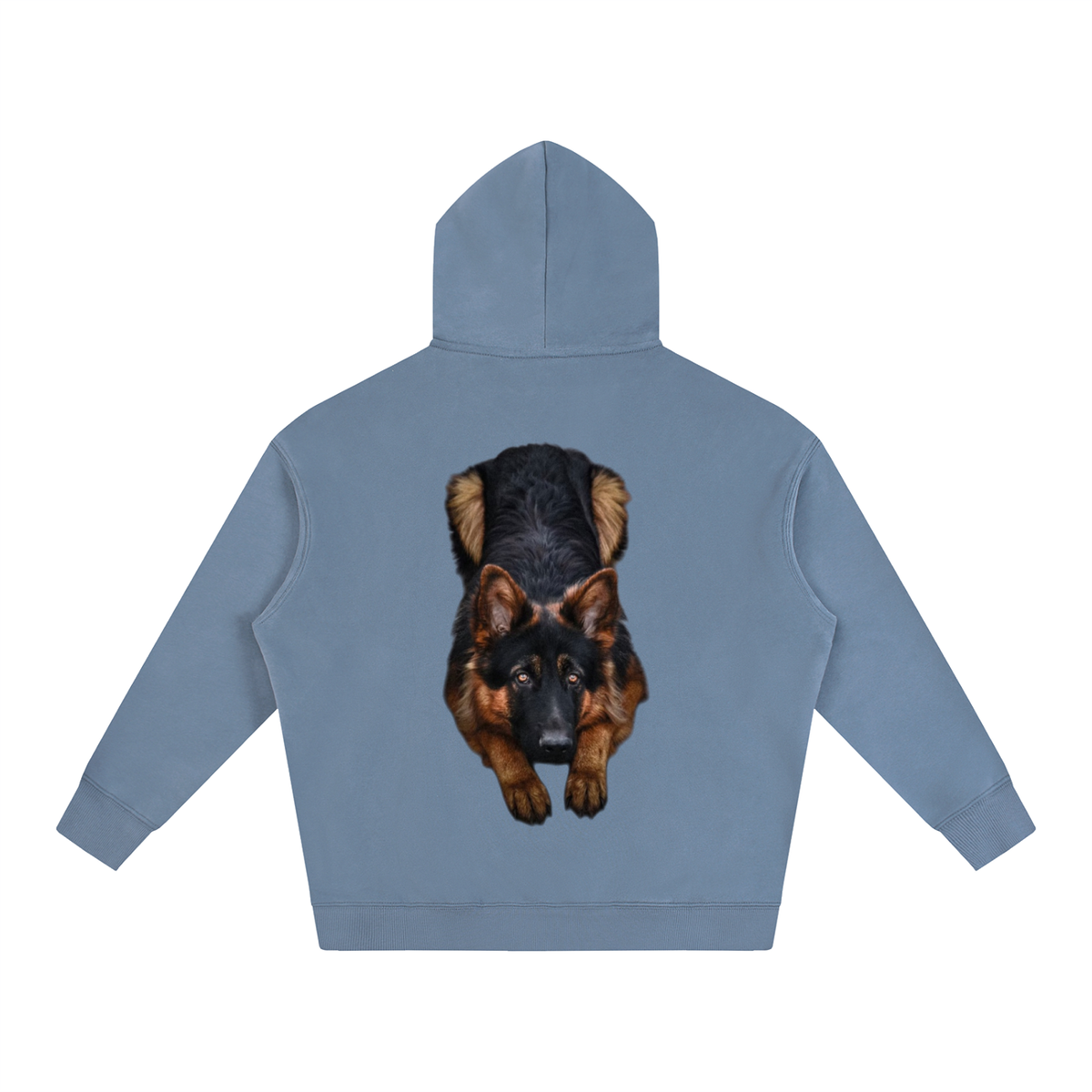 LW 123  Fleeced Hoodie