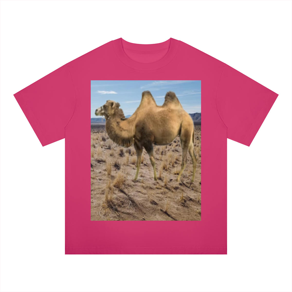 LW 123 Drop Shoulder T-Shirt