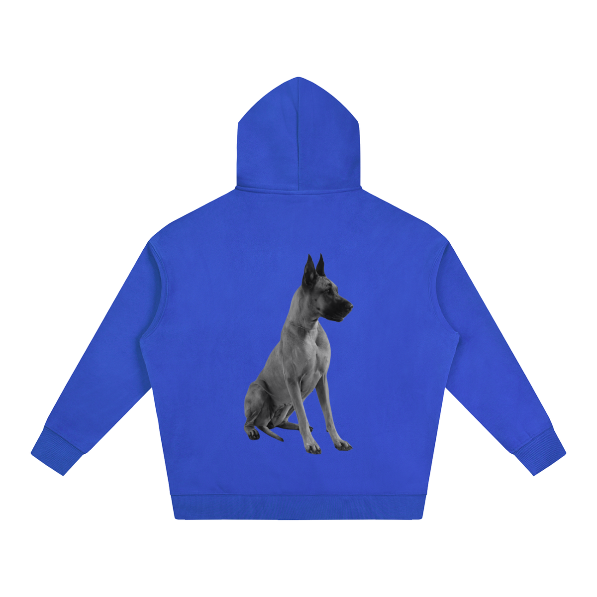 LW 123 Oversize Fleeced Hoodie